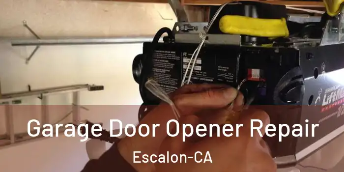  Garage Door Opener Repair Escalon-CA