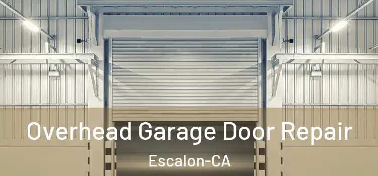  Overhead Garage Door Repair Escalon-CA